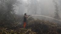 Petugas gabungan dari berbagai instansi berkoordinasi dalam upaya penanganan kebakaran hutan dan lahan (karhutla) di wilayah Kabupaten Kapuas, Kalimantan Tengah.
