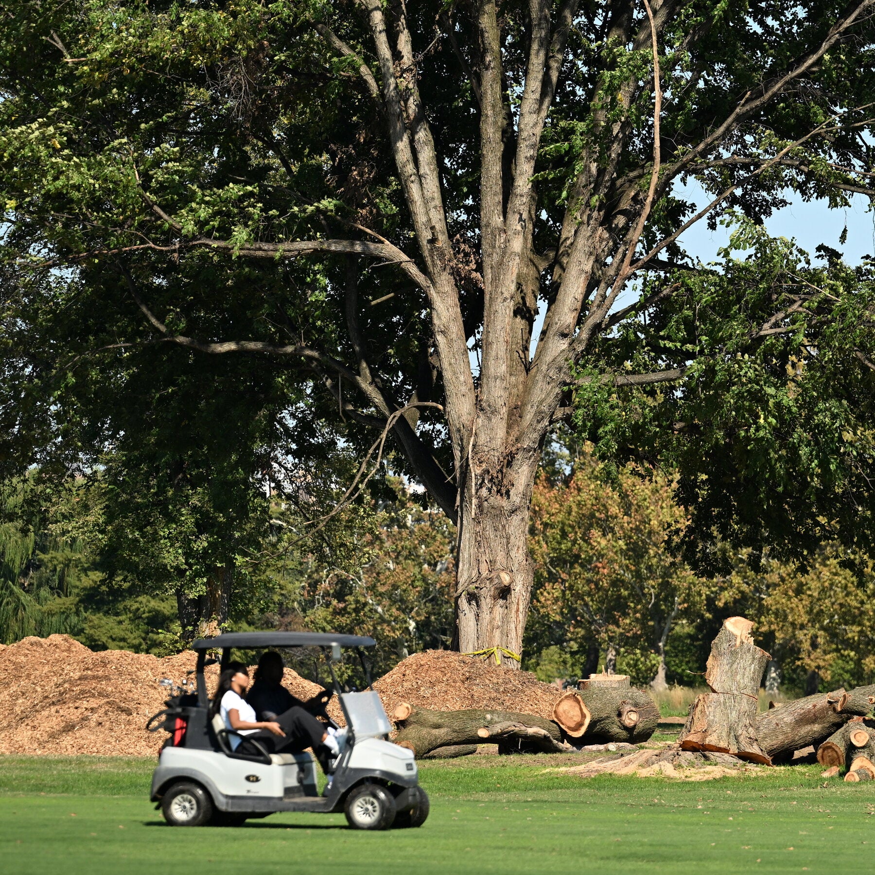 Pemandangan sebagian East Potomac Park, di mana rencana revitalisasi lapangan golf dan pemotongan pohon telah dihentikan sementara oleh putusan pengadilan federal.