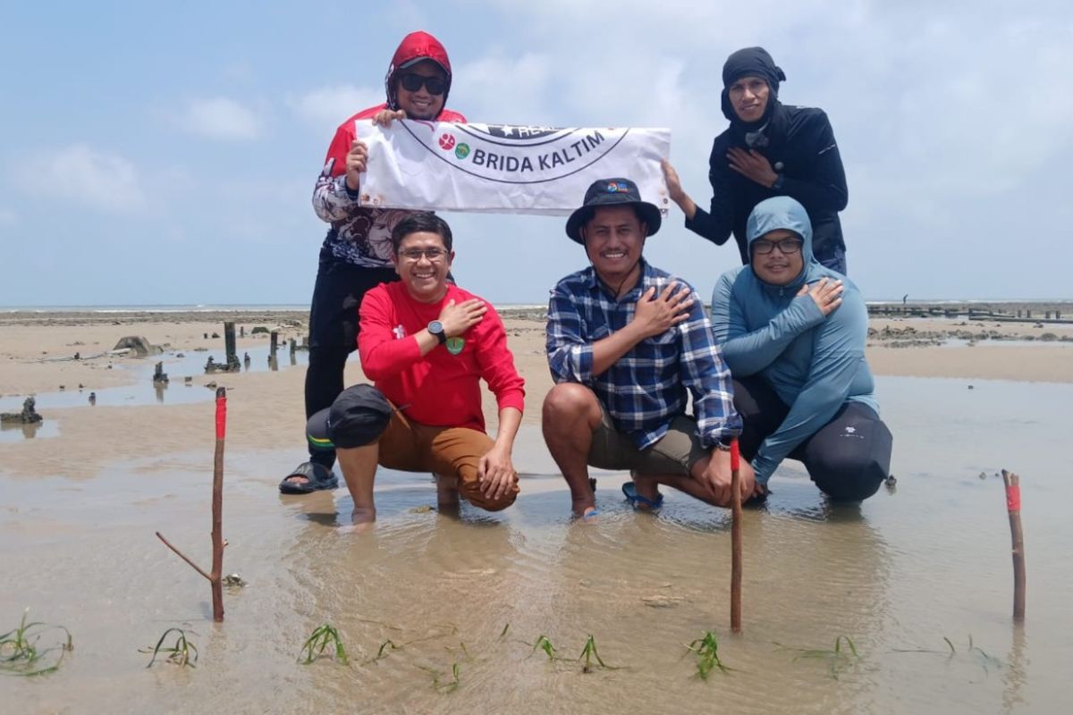 Hamparan padang lamun di pesisir Kalimantan Timur menyimpan potensi besar bagi ekonomi biru berkelanjutan, namun urgensi konservasinya sering terabaikan.