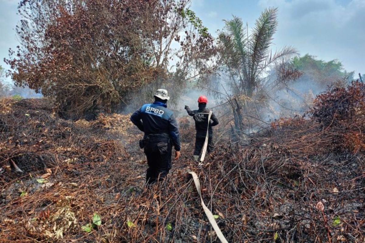 Petugas gabungan BPBD Penajam Paser Utara dan instansi terkait berjibaku memadamkan api di kawasan lahan gambut Kelurahan Petung, yang dikenal sulit dikendalikan.