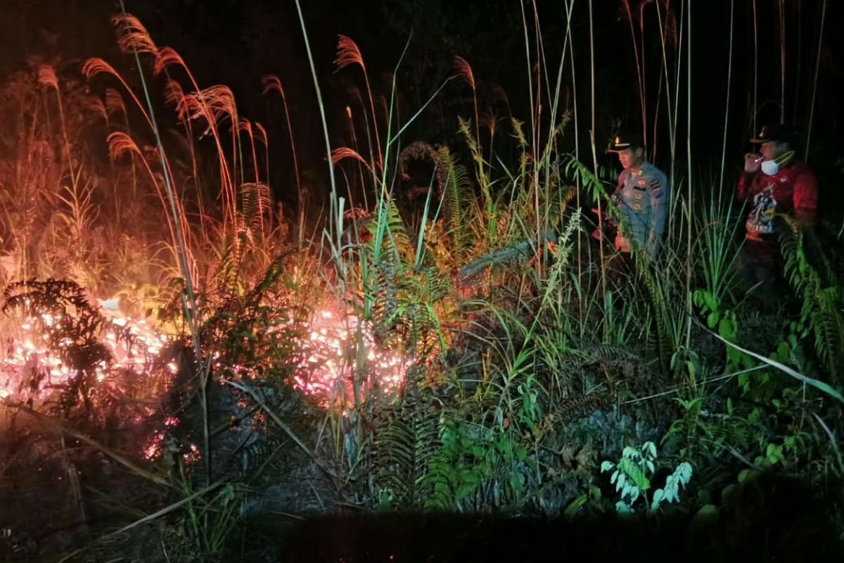 Tim gabungan berjibaku memadamkan api karhutla yang melalap lahan dua hektare di area Gunung Tengkorak. Upaya sigap ini berhasil mengendalikan kobaran api sebelum meluas.