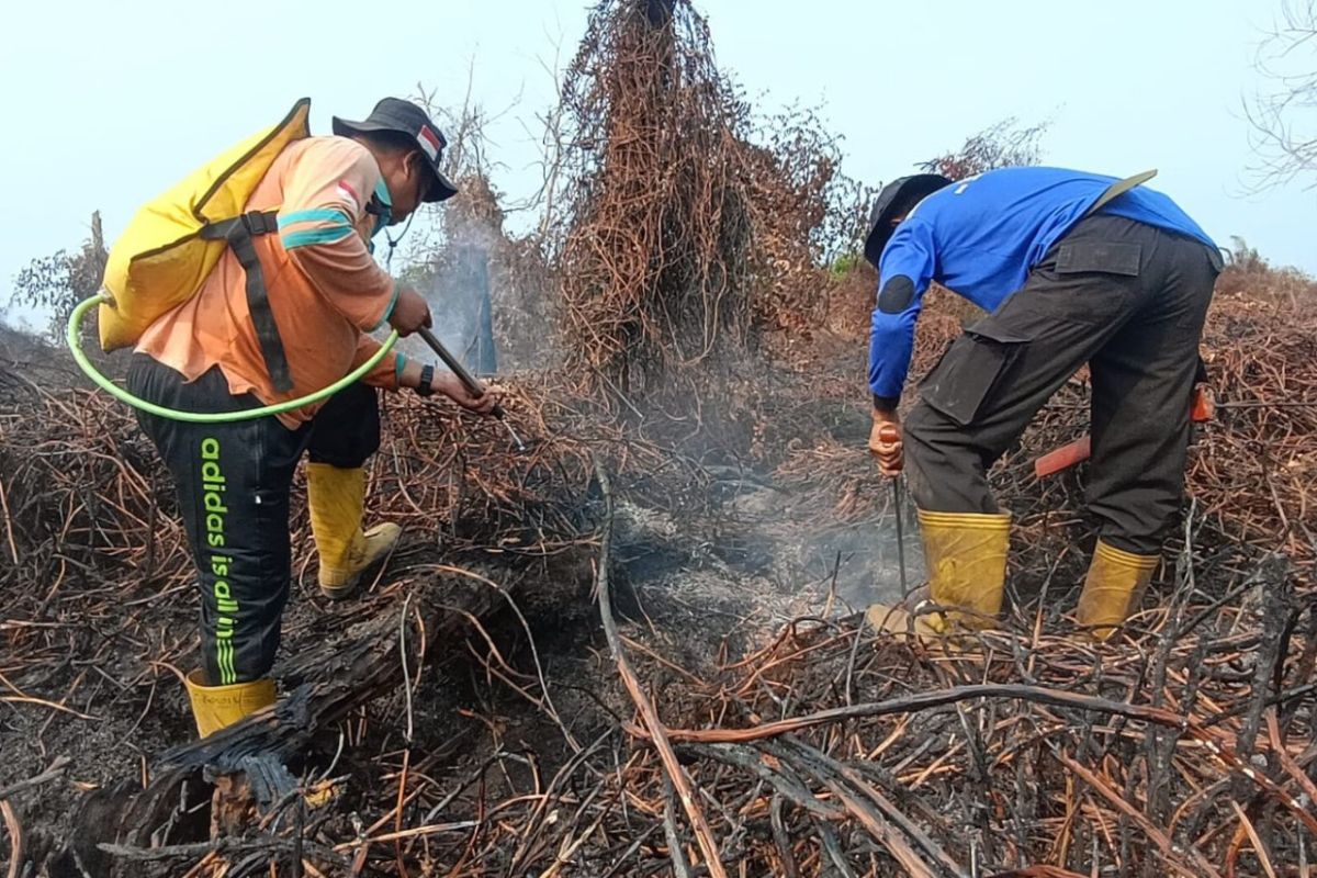 Petugas gabungan melakukan upaya pendinginan di area yang terdampak karhutla untuk memastikan tidak ada titik api yang muncul kembali di wilayah tersebut.