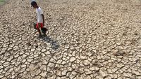 Petani berjuang dengan lahan kering yang retak akibat kekeringan parah, dampak langsung dari fenomena El Nino yang ekstrem.