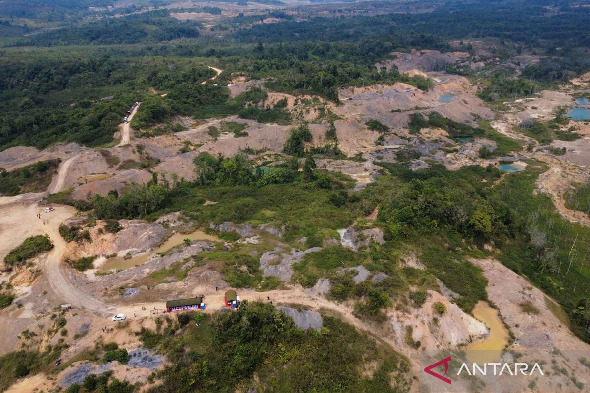 Ilustrasi kondisi hutan Tahura Bukit Soeharto yang menunjukkan area yang telah terdegradasi dan membutuhkan upaya pemulihan masif.