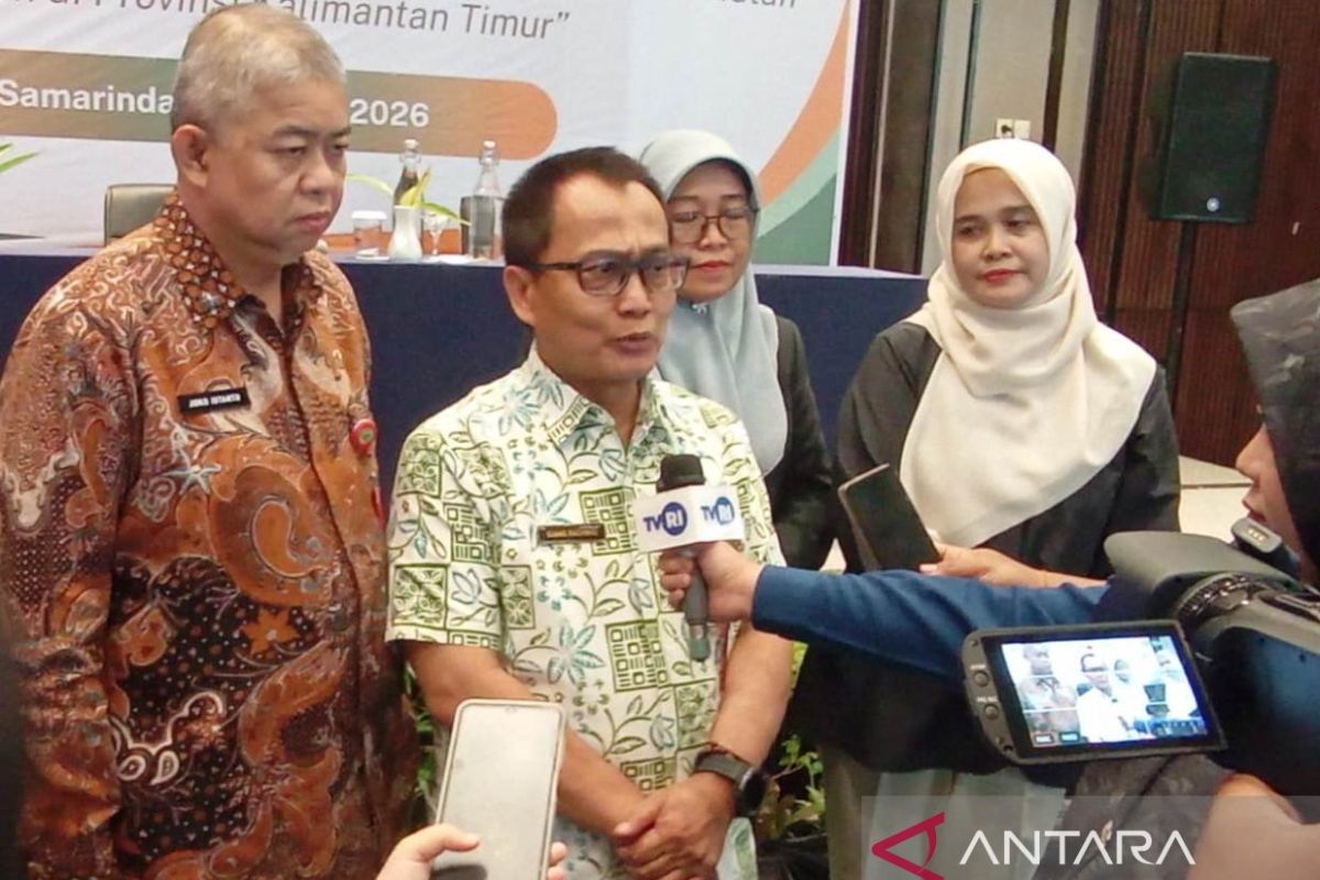 Ilustrasi hutan tropis Kalimantan, paru-paru dunia yang berperan krusial dalam mitigasi perubahan iklim global dan penyerapan karbon.