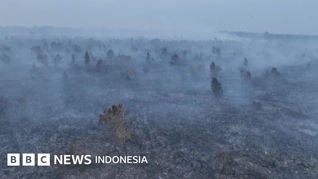 Petugas berjibaku memadamkan api yang melahap lahan gambut. Kebakaran berulang menyoroti akuntabilitas korporasi dalam pengelolaan lingkungan.