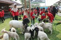 Siswa sekolah dasar dengan antusias berinteraksi dan memberi makan hewan ternak dalam program edutrip di fasilitas pemasyarakatan.
