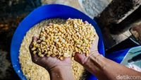 Seorang perajin sedang memproses kedelai di pabrik tahu, berupaya menjaga kualitas produk di tengah tantangan lonjakan harga bahan baku.