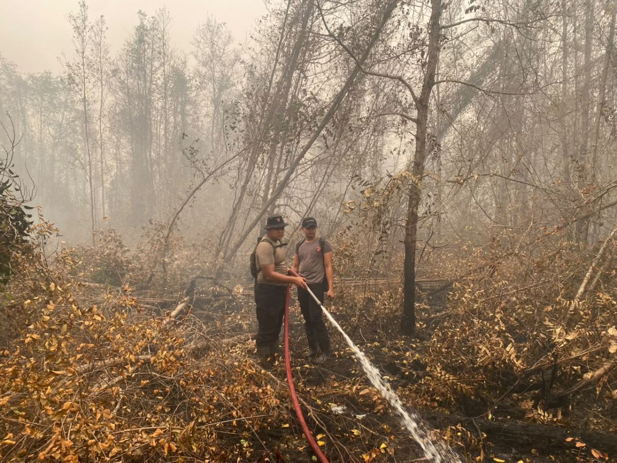 Personel Satgas Karhutla Satbrimob Polda Kalteng berjibaku melakukan pembasahan intensif di Desa Tanjung Taruna, Kabupaten Pulang Pisau, untuk memadamkan titik panas Karhutla dan mencegah meluasnya api.