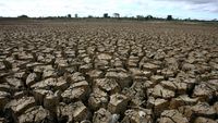 Tanah yang retak-retak menggambarkan dampak pengeringan lahan yang ekstrem, sebuah fenomena yang memerlukan penelitian mendalam dan mitigasi serius.
